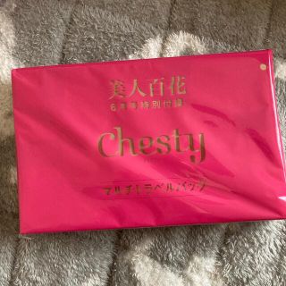 チェスティ(Chesty)のChesty マルチトラベルバッグ　雑誌付録(トラベルバッグ/スーツケース)