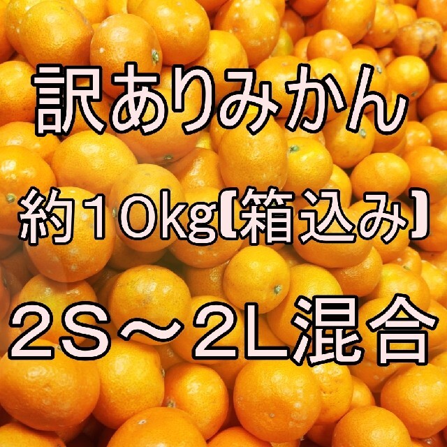 訳ありみかん　約10㌔（箱込み）２Ｓ〜２Ｌ 食品/飲料/酒の食品(フルーツ)の商品写真