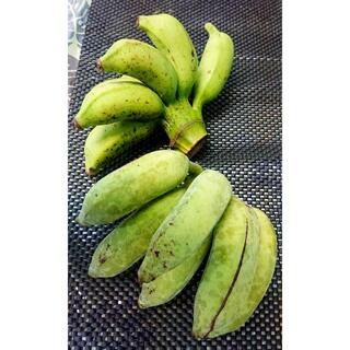 沖縄本島北部産　「島バナナ」「アップルバナナ」の1Kgセット！(フルーツ)