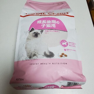 ロイヤルカナン(ROYAL CANIN)の[新品未開封]ロイヤルカナン　キトン　成長後期　2kg(ペットフード)