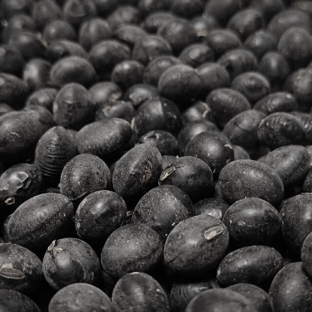 無農薬栽培　丹波黒豆　500g 農家直送 食品/飲料/酒の食品(野菜)の商品写真