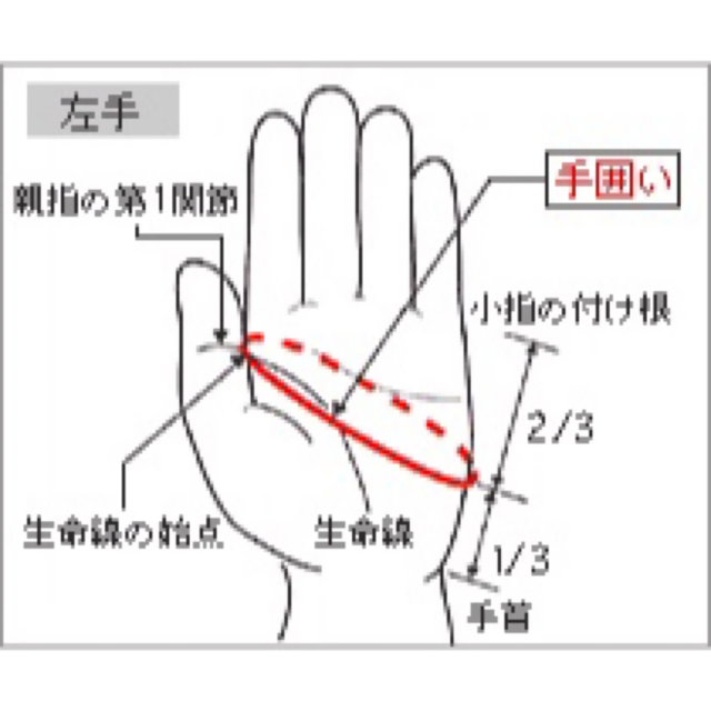 ZETT(ゼット)の野球　守備手袋 スポーツ/アウトドアの野球(その他)の商品写真