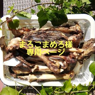 まろこまめろ様専用ページ(犬)