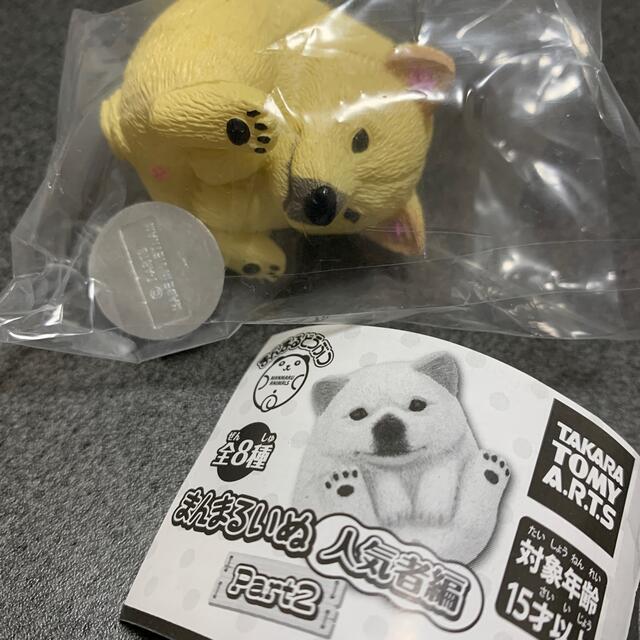 Takara Tomy(タカラトミー)のガチャ　犬　まんまるいぬ その他のペット用品(犬)の商品写真