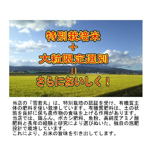 めしだけでうまい。令和三年産新米　 山形県産　雪若丸 １０ｋｇ（特別栽培米＆大粒 食品/飲料/酒の食品(米/穀物)の商品写真