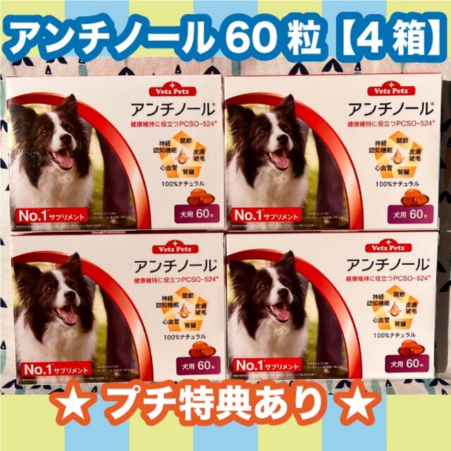 アンチノール　犬用　60粒　4箱〈おまけ付き〉