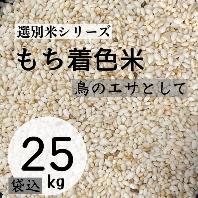 もち米 着色米 25kg  米・雑穀 鳥の餌 飼料 お得 安い おすすめ色彩選別 食品/飲料/酒の食品(米/穀物)の商品写真