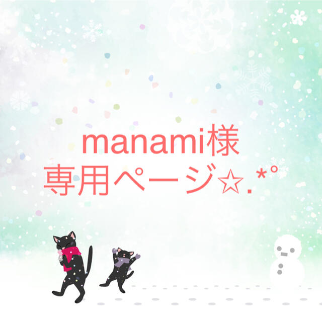 manami様専用ページ✩.*˚の通販 by むぎ's shop｜ラクマ