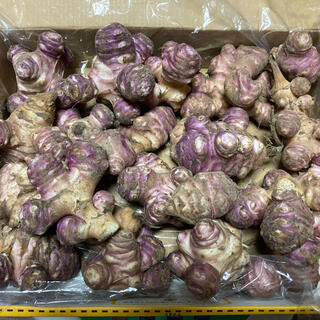 信州産-紫菊芋 絶品チーズガレット／ポテトチップス、コンパクト箱1.3キロ以上(野菜)