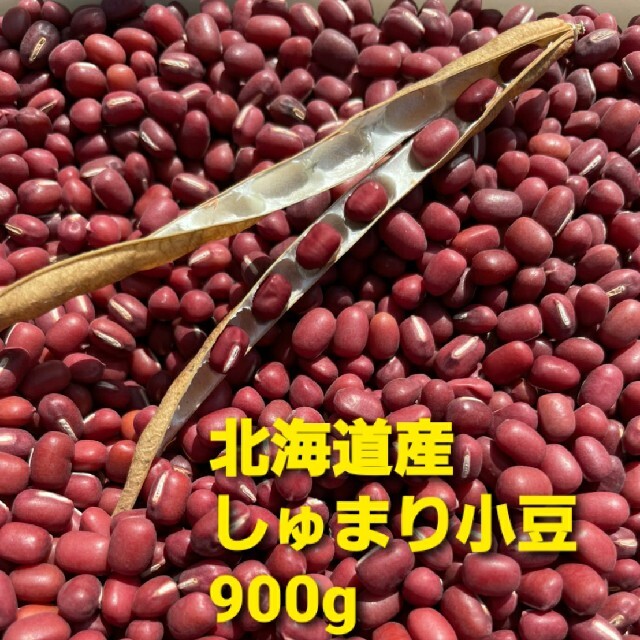 令和三年　北海道　美瑛産　しゅまり小豆 食品/飲料/酒の食品(野菜)の商品写真