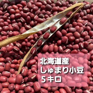 令和三年　北海道　美瑛産　しゅまり小豆　5キロ(野菜)