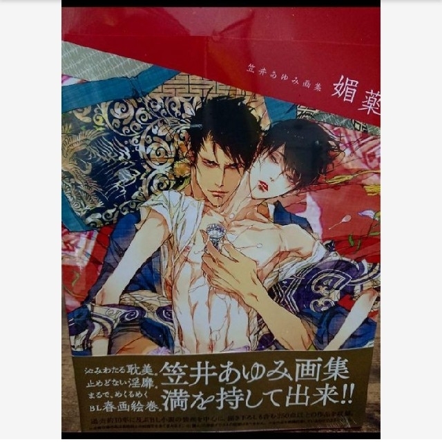 【サバミ様専用】笠井あゆみ画集『媚薬』 エンタメ/ホビーの本(ボーイズラブ(BL))の商品写真