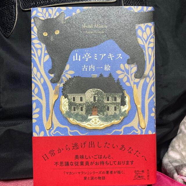 角川書店(カドカワショテン)の山亭ミアキス エンタメ/ホビーの本(文学/小説)の商品写真