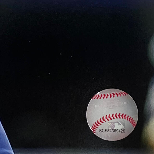 (新品) ゲレーロJr 直筆サイン入り写真 正規品 ホログラム付き スポーツ/アウトドアの野球(記念品/関連グッズ)の商品写真