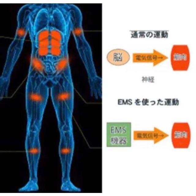 【❤最新最先端EMS❣8パットで圧倒的に効率よく鍛えられる♪❤】腹筋ベルト