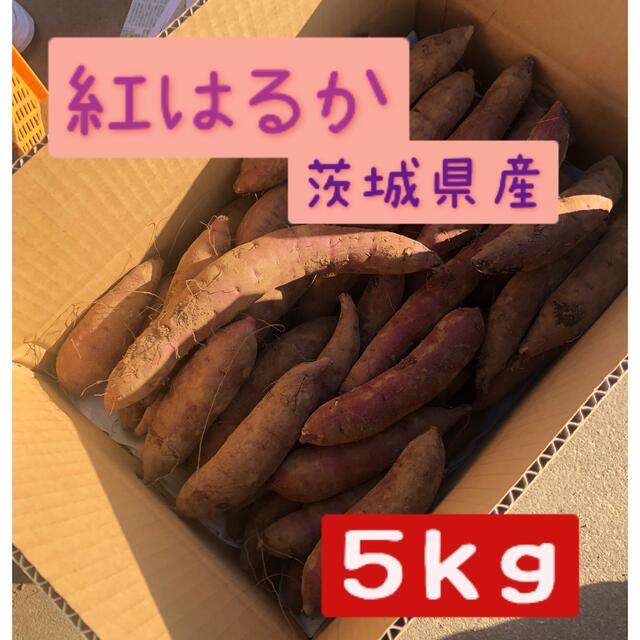 さつまいも　紅はるか　5キロ 食品/飲料/酒の食品(野菜)の商品写真