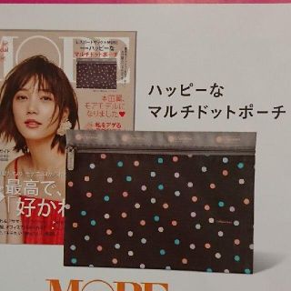 レスポートサック(LeSportsac)のレスポートサック マルチドットポーチ MORE付録(ポーチ)