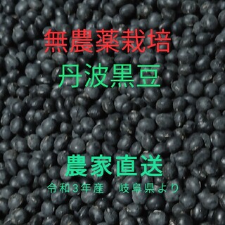 農家直送　岐阜県産　丹波黒豆　1000g(野菜)