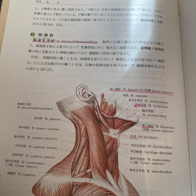 人体解剖学 エンタメ/ホビーの本(健康/医学)の商品写真
