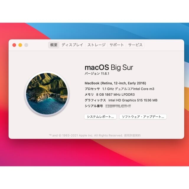 Apple(アップル)のkaname.gさま専用 MacBook Retina 12インチ  ジャンク スマホ/家電/カメラのPC/タブレット(ノートPC)の商品写真