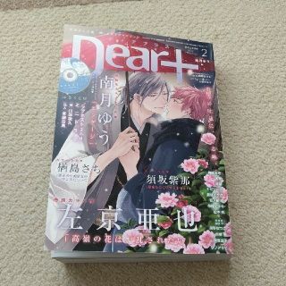 ディアプラス Dear+  2月号(ボーイズラブ(BL))