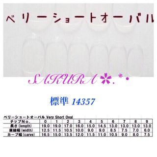 オーダー☆ネイルチップ g -8 コスメ/美容のネイル(つけ爪/ネイルチップ)の商品写真