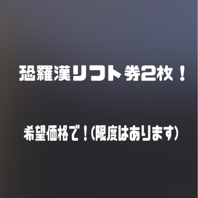 恐羅漢スノーパーク！リフト券！2枚！