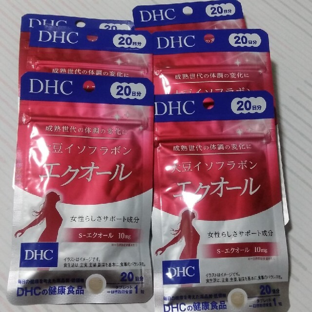 DHC エクオール 大豆イソフラボン 20日分 6袋 - その他