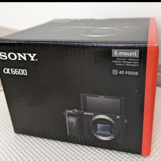 ソニー(SONY)のSONY α6600  (ミラーレス一眼)