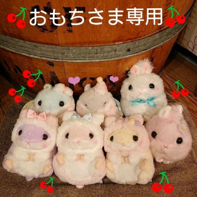 ころはむコロン 【おもちさま 専用ページ】の通販 by ふぅ|ラクマ