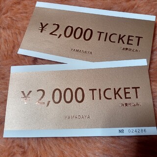 スコットクラブ(SCOT CLUB)の福袋　2022年ヤマダヤ　チケット　2000円✕2枚(ショッピング)