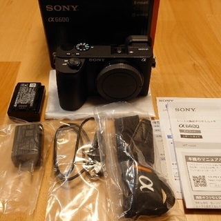 SONY - SONY α6600 ミラーレス一眼カメラ