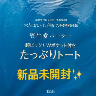 タカラジマシャ(宝島社)の新品未開封☆たっぷりトート　付録(トートバッグ)