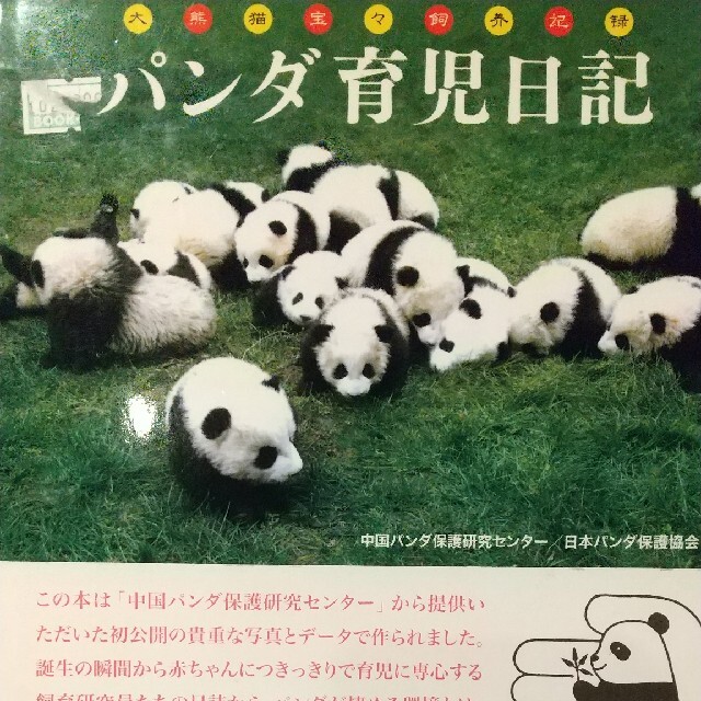 パンダ育児日記 | フリマアプリ ラクマ