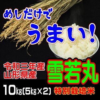 めしだけでうまい。　令和三年産米　 山形県産　雪若丸 １０ｋｇ（特別栽培米＆大粒(米/穀物)