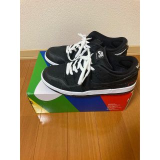ナイキ(NIKE)のnike wasted youth sb dunk low 28.5cm (スニーカー)