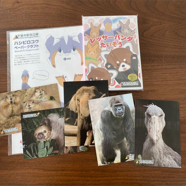 千葉市動物公園グッズ　DVD.ポストカード、ペーパークラフト エンタメ/ホビーのおもちゃ/ぬいぐるみ(キャラクターグッズ)の商品写真