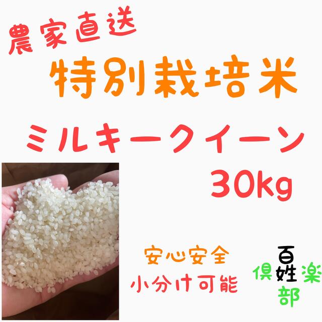 ミルキークイーン　特別栽培米 食品/飲料/酒の食品(米/穀物)の商品写真