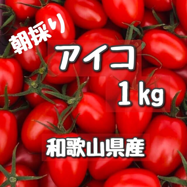 一度食べてみて！和歌山産　ミニトマトアイコ　1kg 食品/飲料/酒の食品(野菜)の商品写真