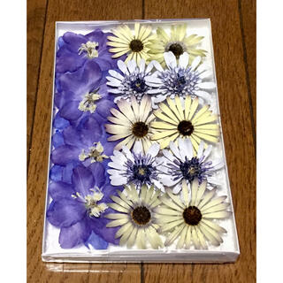 あ⑤  銀の紫陽花が作った春色のお花のドライフラワー(ドライフラワー)