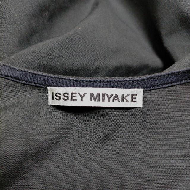 ISSEY MIYAKE(イッセイミヤケ)のイッセイミヤケ 半袖カットソー レディース レディースのトップス(カットソー(半袖/袖なし))の商品写真