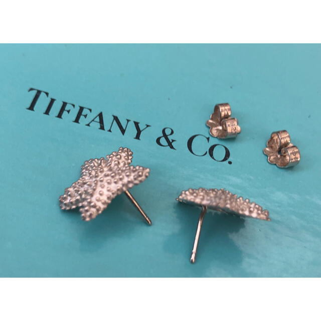 Tiffany & Co.(ティファニー)のティファニー　ピアス　スターフィッシュ　シルバー925 ヒトデ　 レディースのアクセサリー(ピアス)の商品写真