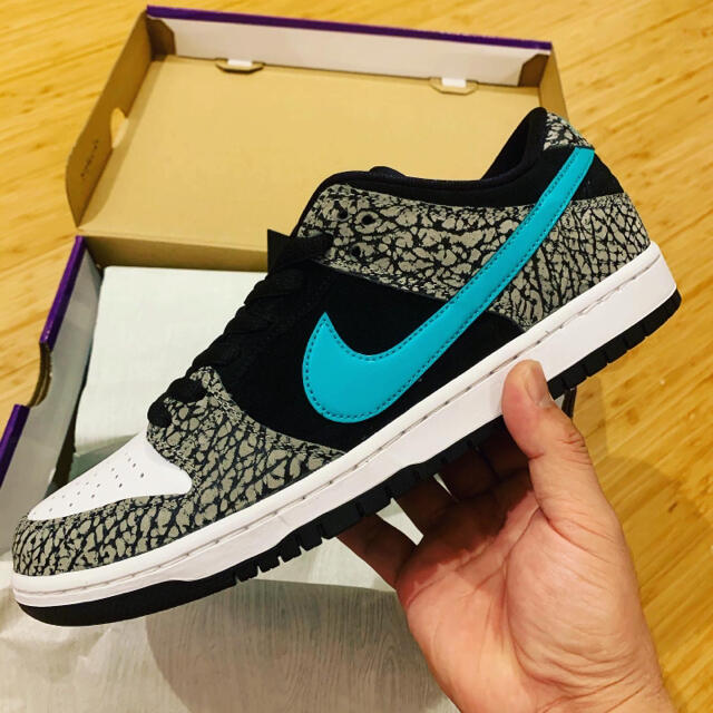 NIKE(ナイキ)のNIKE SB DUNK LOW ELEPHANT 28.0 メンズの靴/シューズ(スニーカー)の商品写真