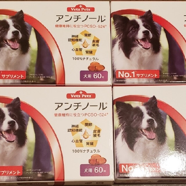 アンチノール60粒入り×4箱犬