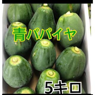 青パパイヤ   5キロ(野菜)