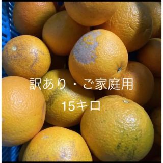 専門店では食品k.farm|フリマアプリ ラクマ