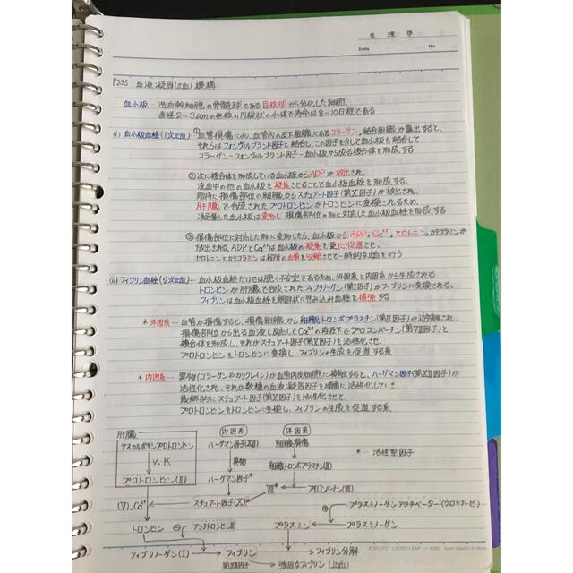 歯科医師国家試験、CBT、歯学部定期試験対策【生理学A＋B】まとめノートセット エンタメ/ホビーの本(資格/検定)の商品写真