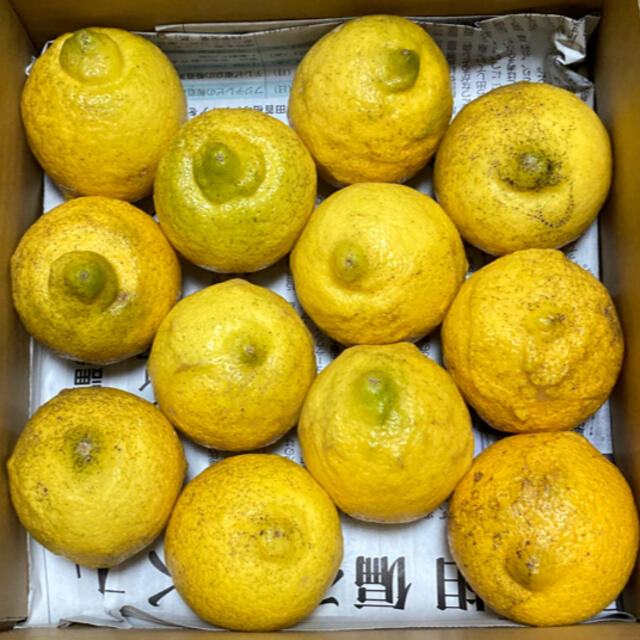 広島県大崎上島産無農薬レモン　3kg 食品/飲料/酒の食品(フルーツ)の商品写真