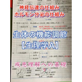 歯科医師国家試験、CBT、歯学部定期試験対策【生理学A】まとめノート(資格/検定)