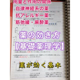 歯科医師国家試験、CBT、歯学部定期試験対策【薬理学】まとめノート(資格/検定)